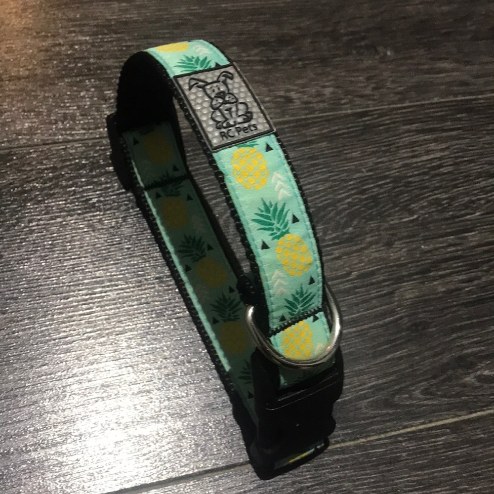 RC Pets Dog Collar | Medium